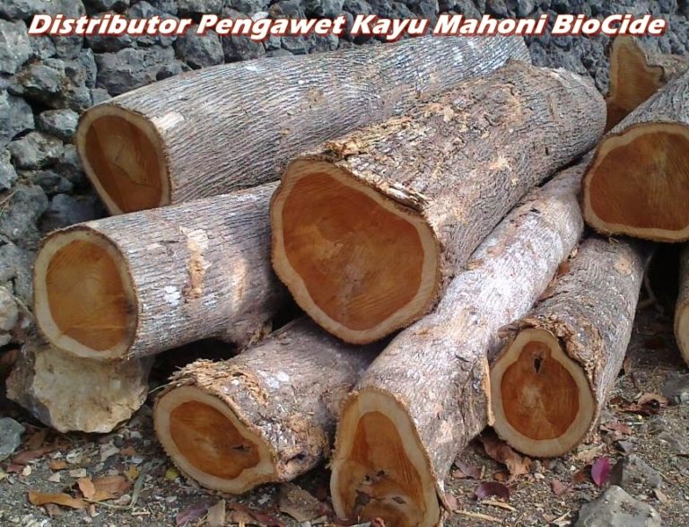 Distributor Pengawet Kayu Mahoni BioCide